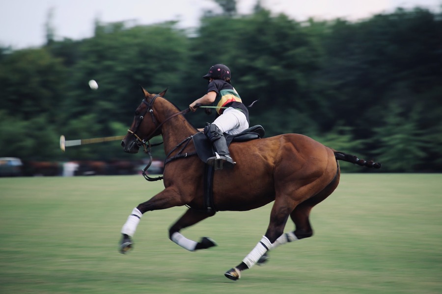 Menarik! Coba Olahraga Polo Kuda Asal India